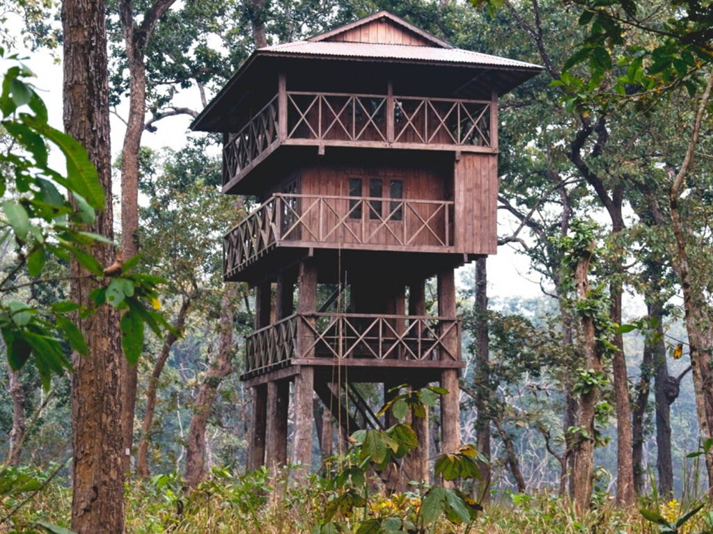 nighttowerstay